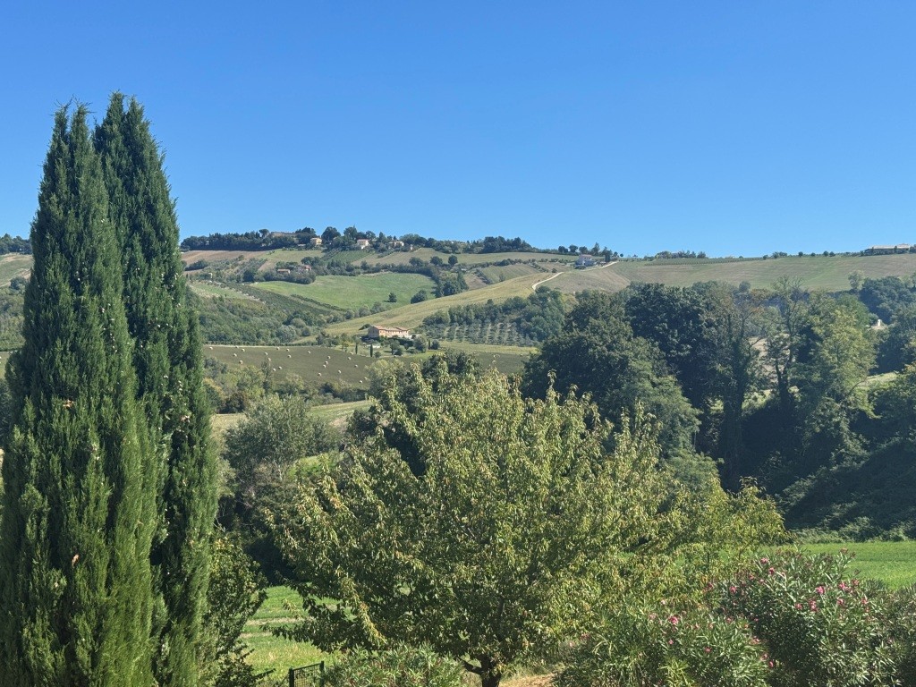 Casale delle Colline