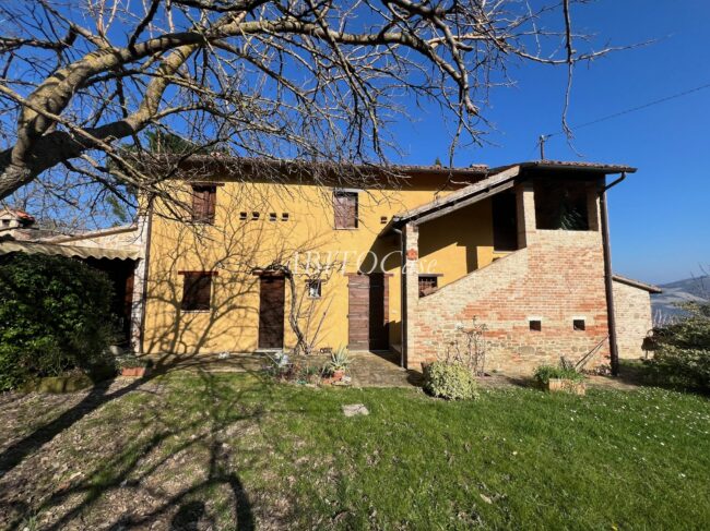 Casale Guiduccio