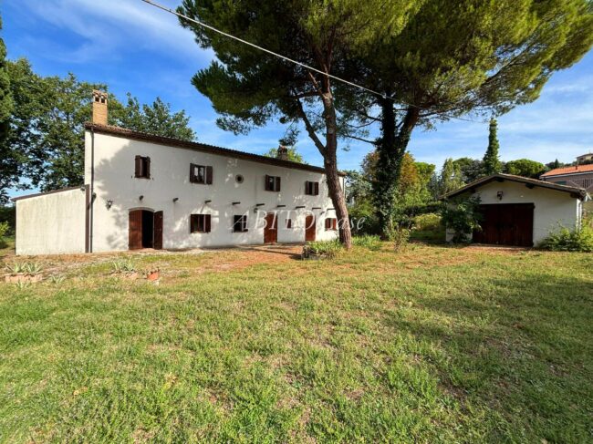 Casa White