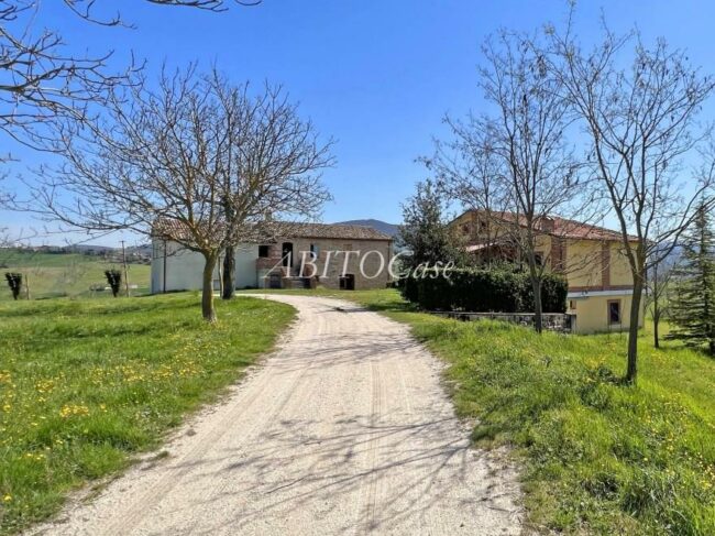 Tenuta Artiere