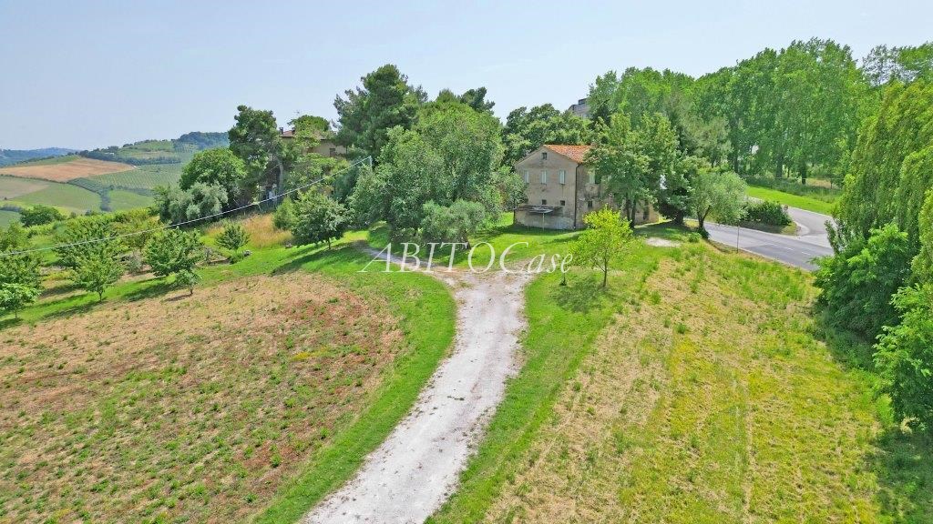 Casale Verdicchio