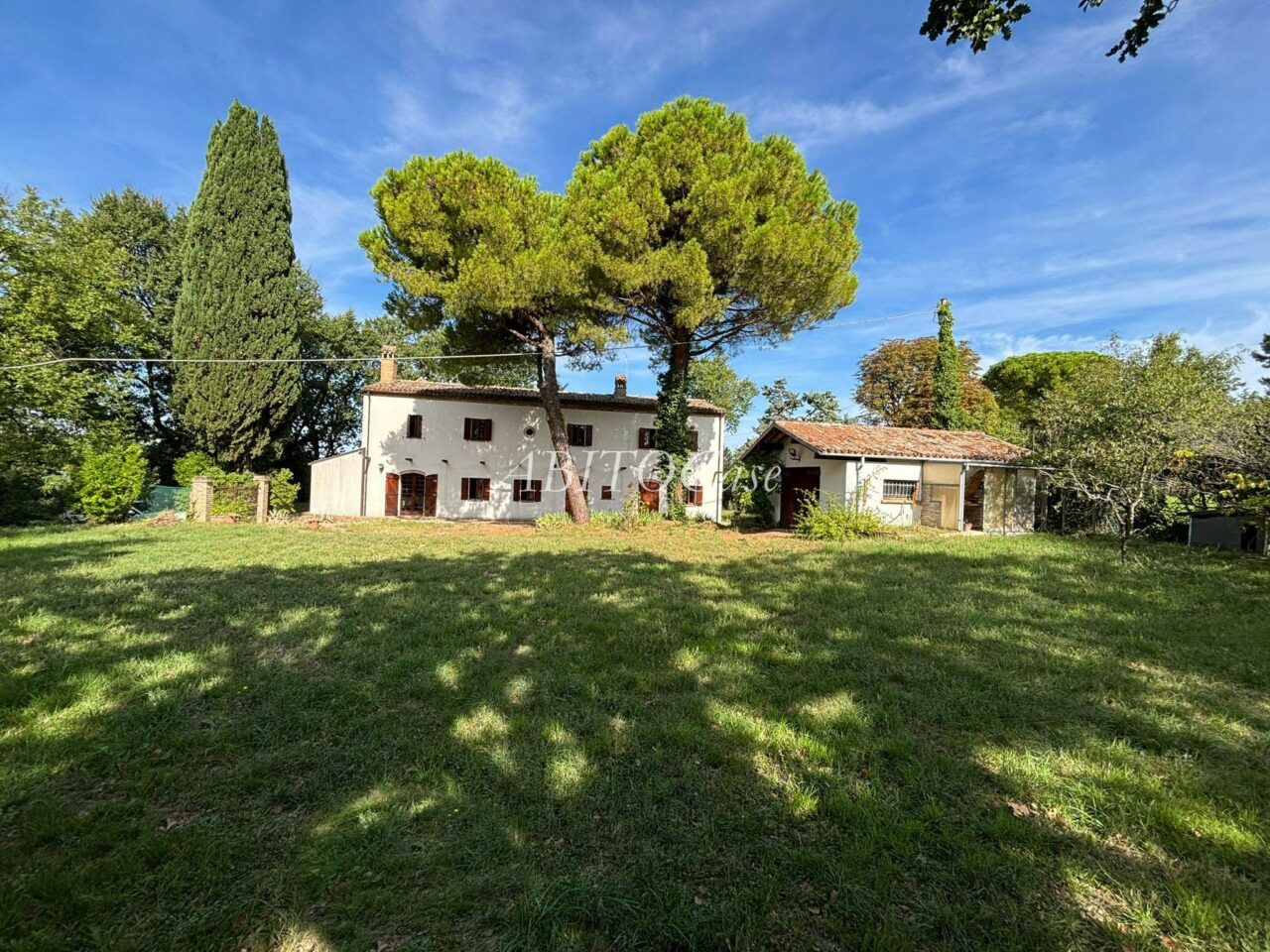 Casa White