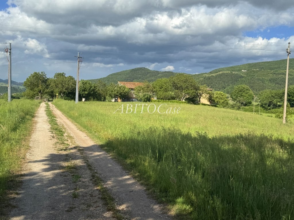 Tenuta della Rocca