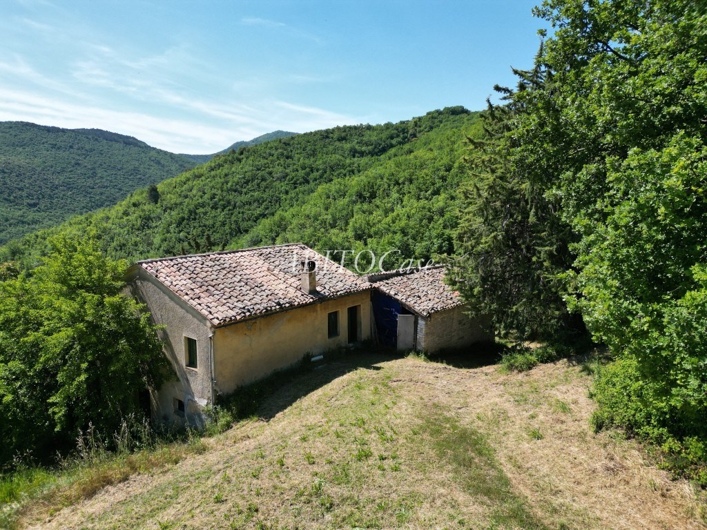 Casale Fonte