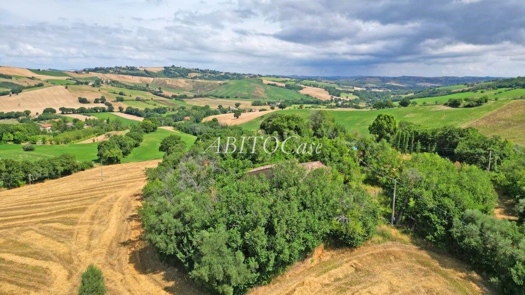 Casale Boschetto