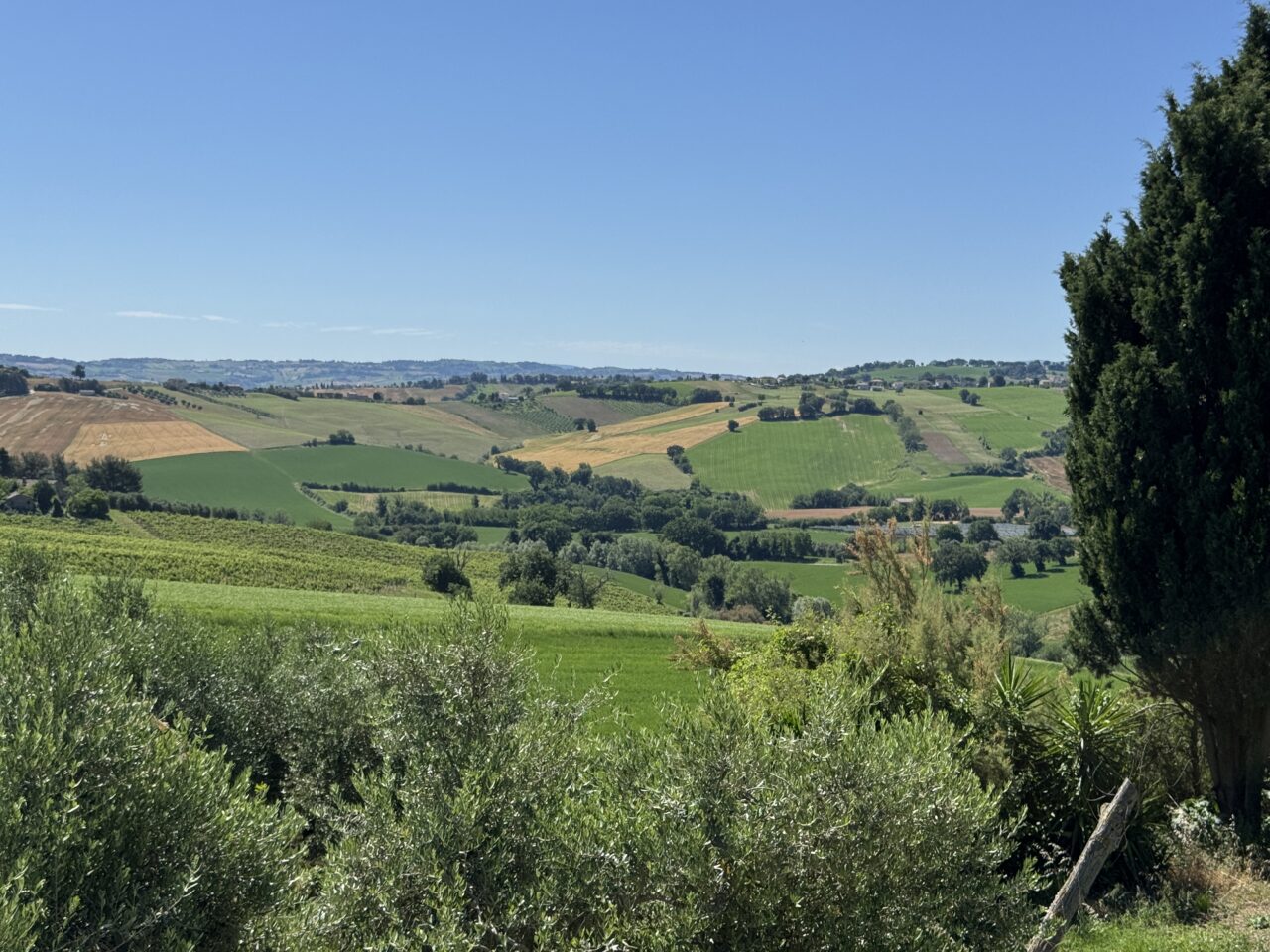 Casale Maria