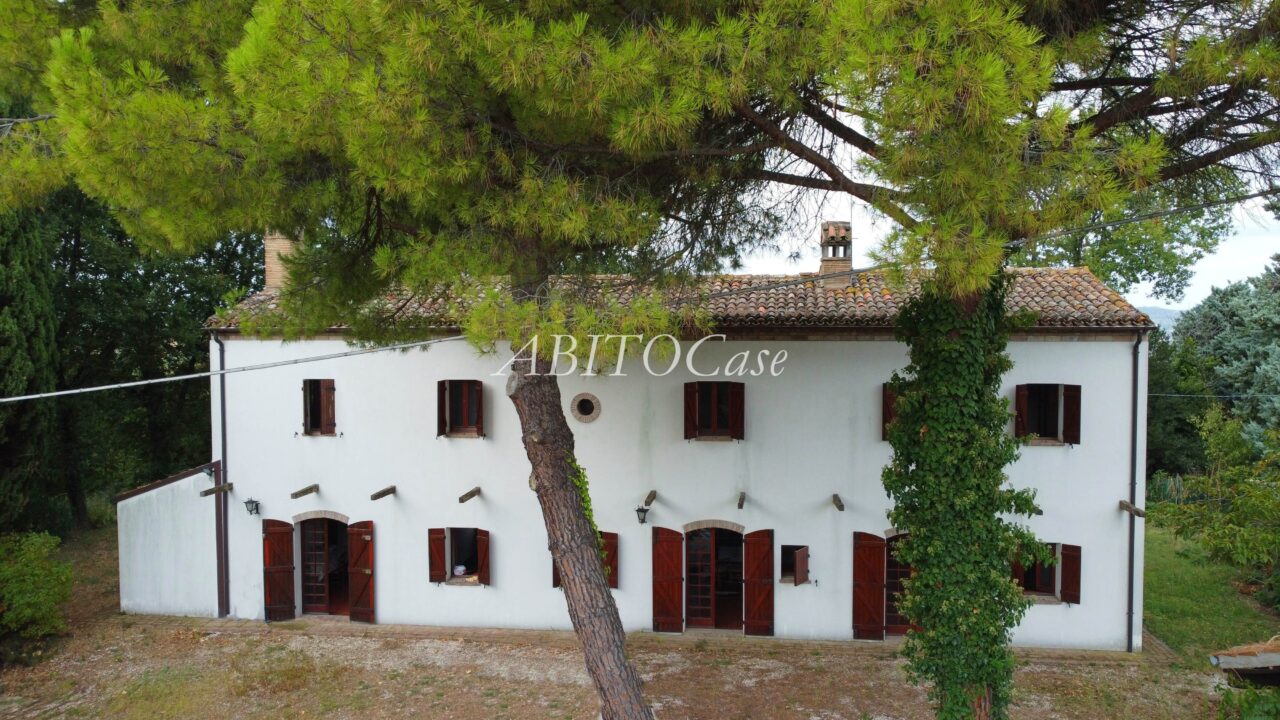 Casa White