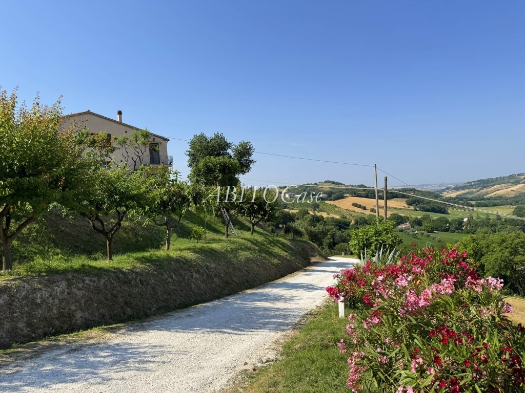 Casa Ape