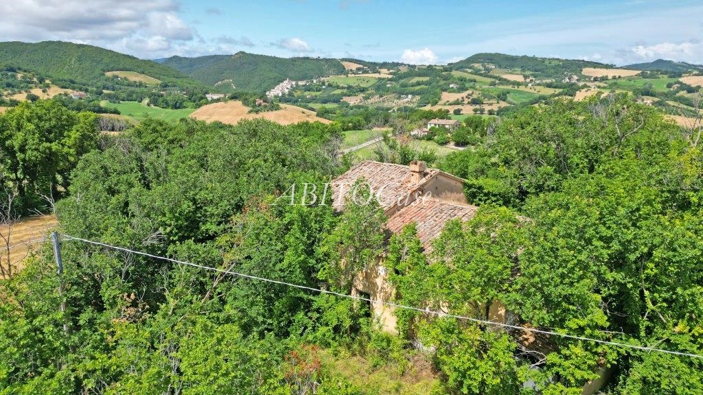 Casale Boschetto