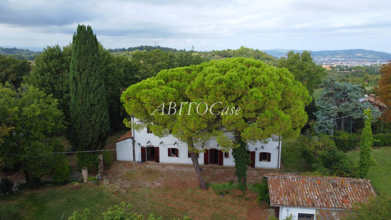 Casa White