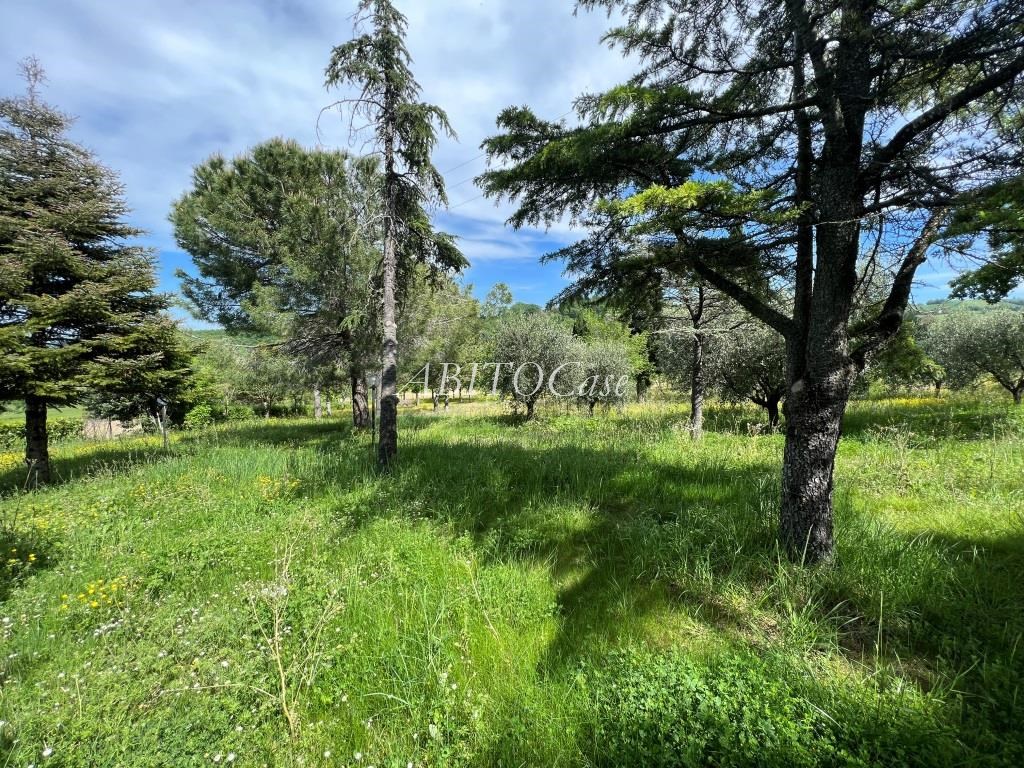 Casale del Colle