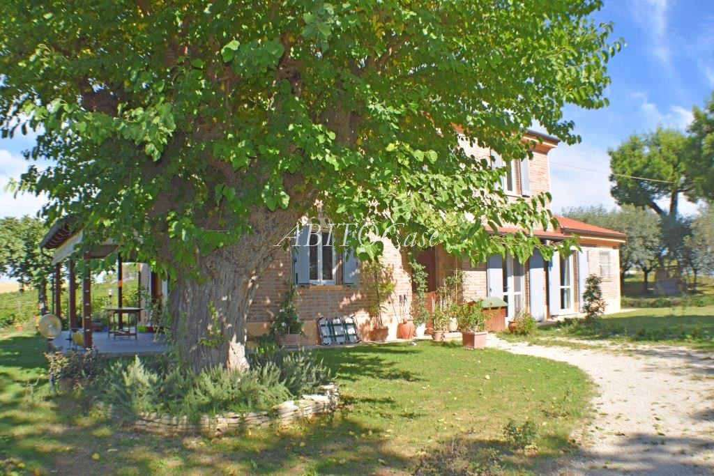 Casale Belvedere