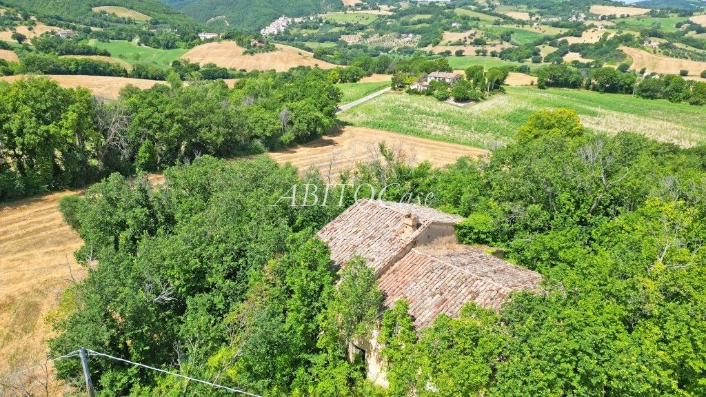 Casale Boschetto
