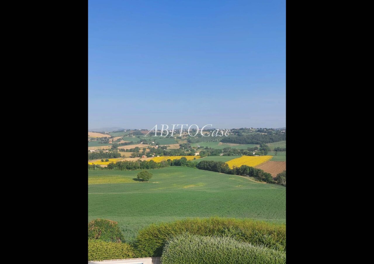 Casale Verdicchio