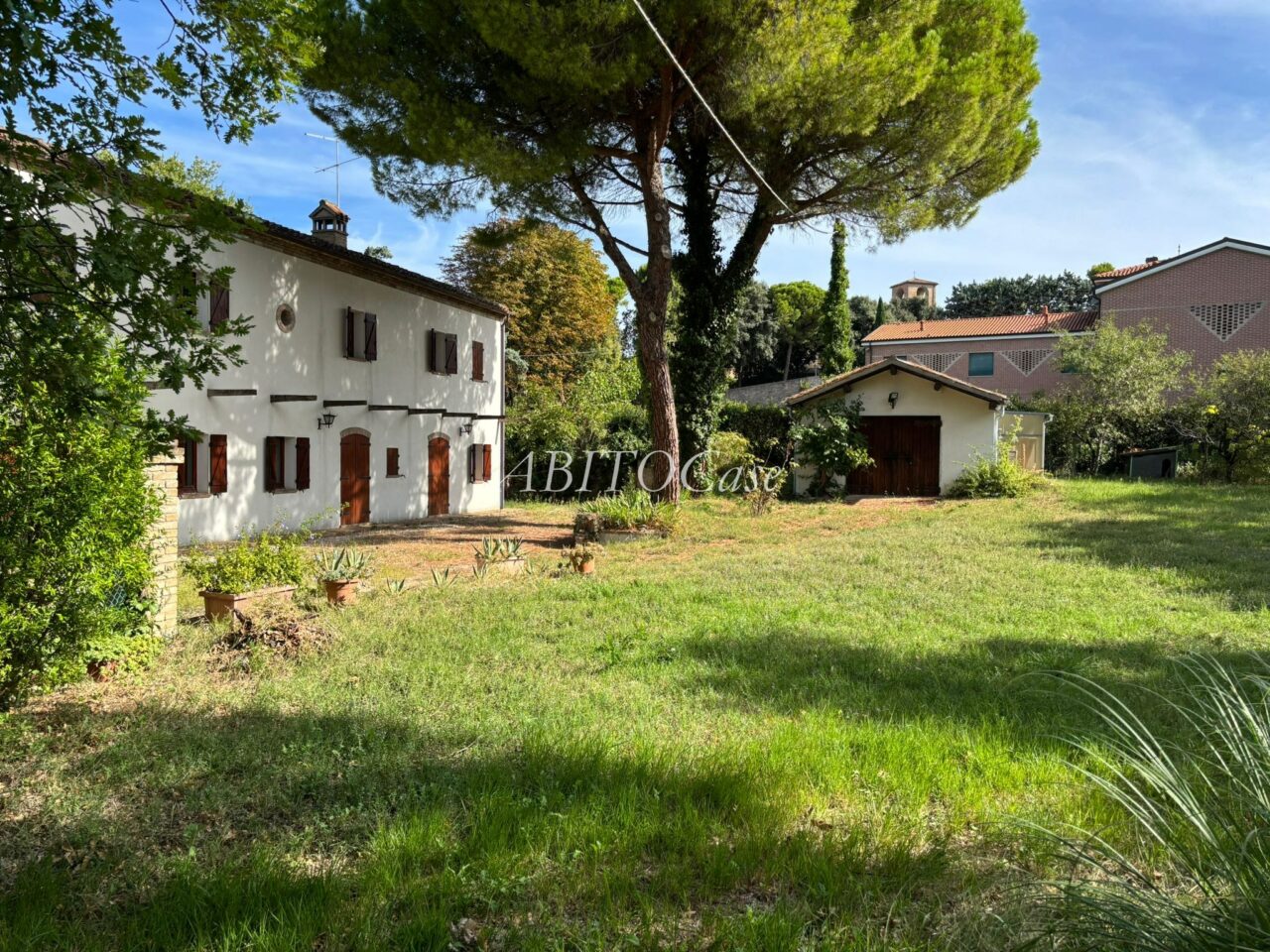 Casa White