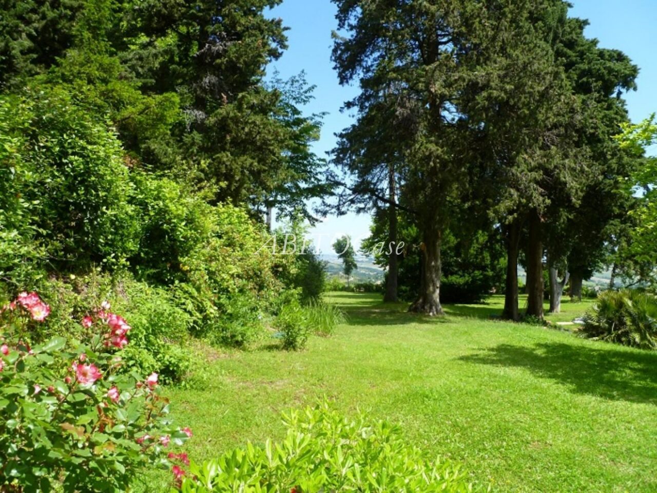 Tenuta Del Cardinale