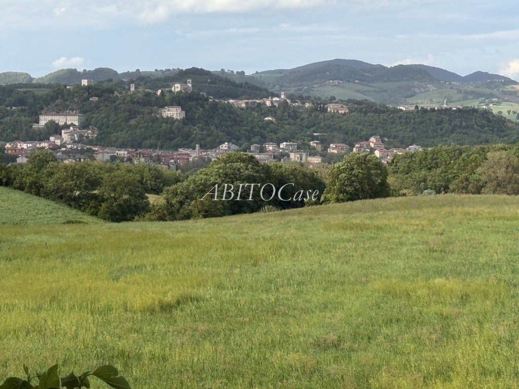 Tenuta della Rocca
