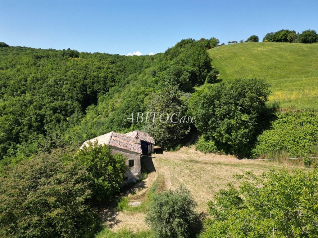 Casale Fonte