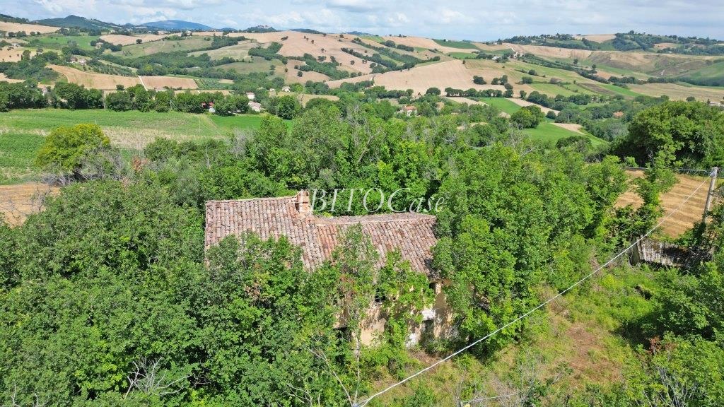 Casale Boschetto