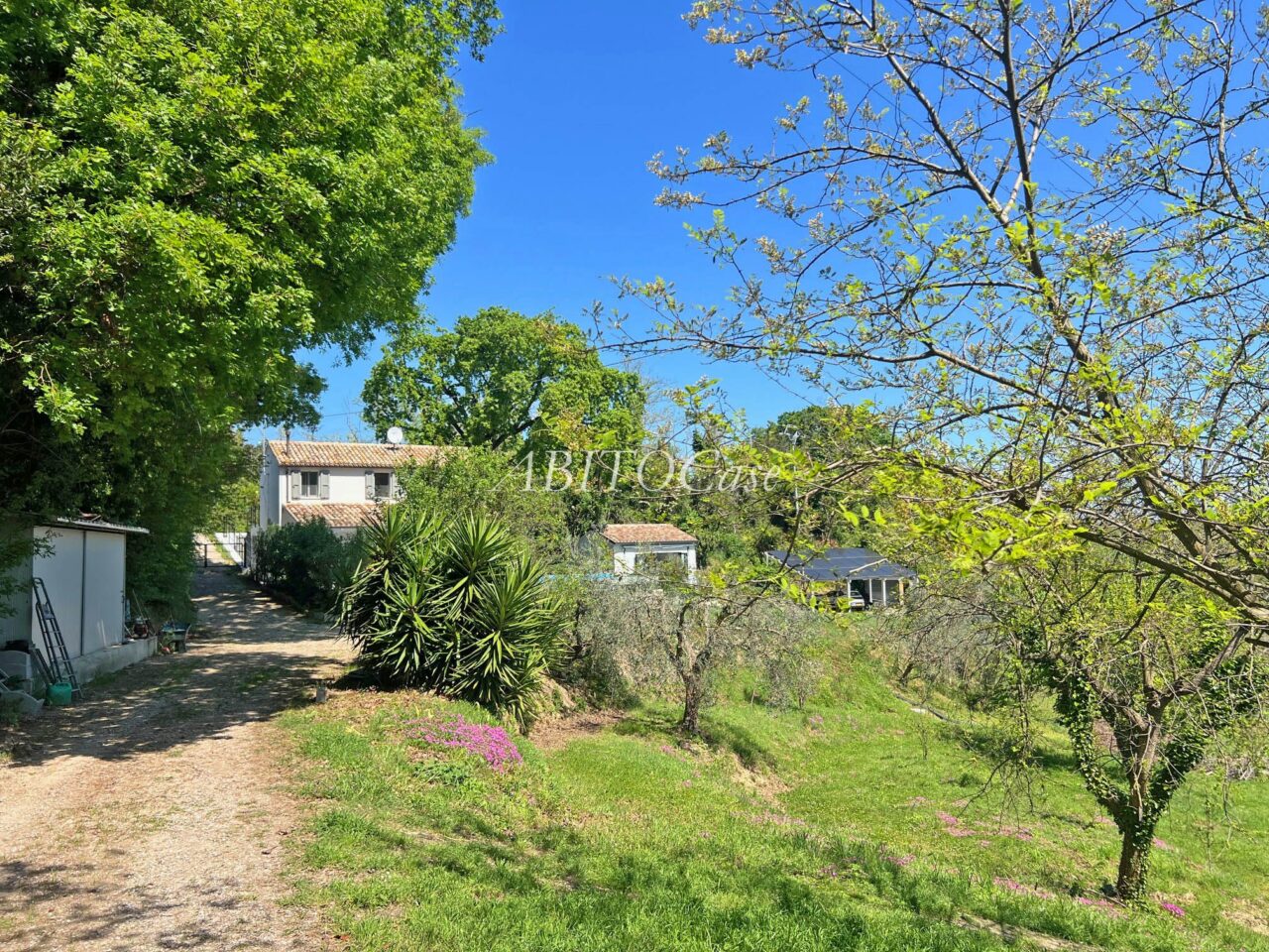 Casa Linea