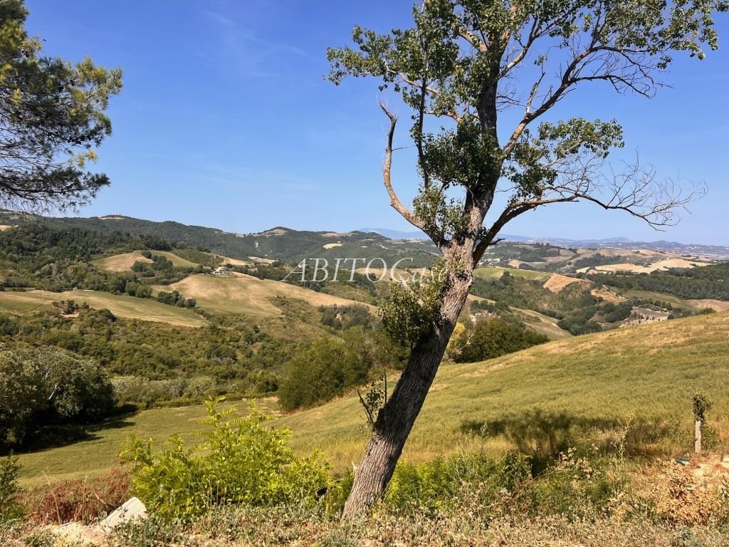 Casale Ambrosia