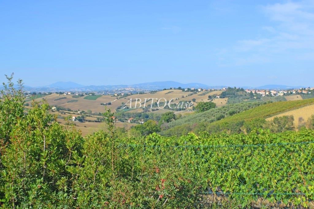 Casale Belvedere