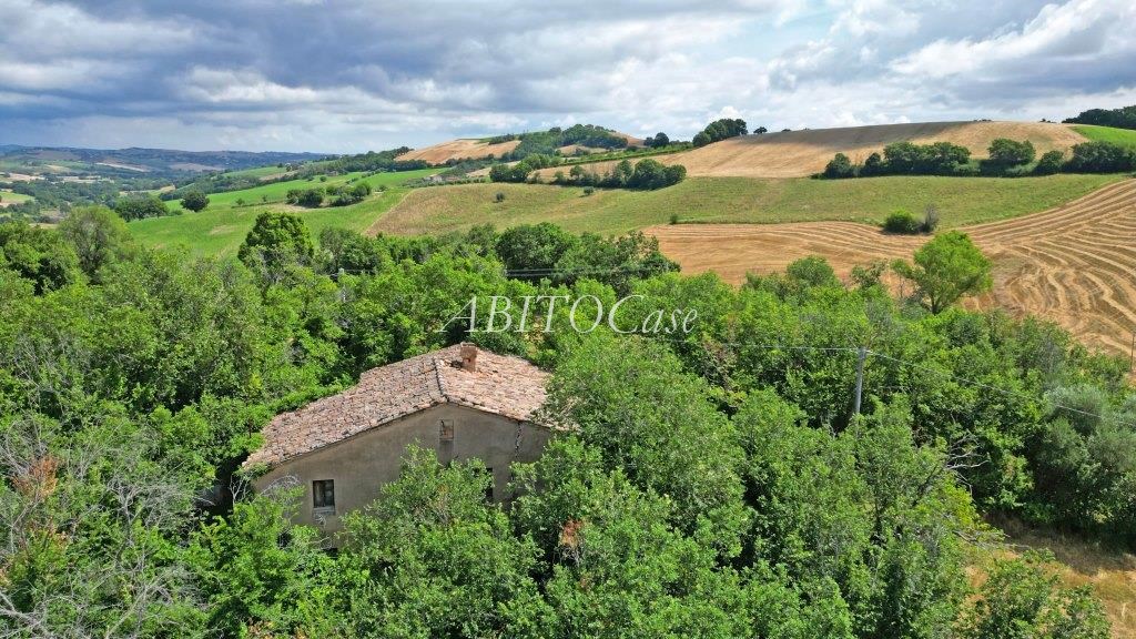 Casale Boschetto