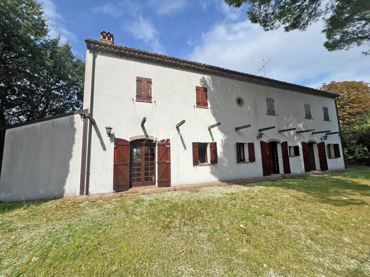 Casa White