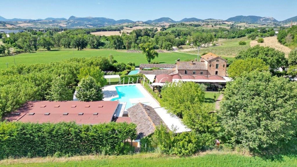 Tenuta dei Gelsi