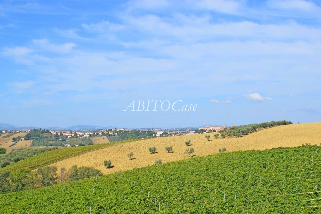 Casale Belvedere