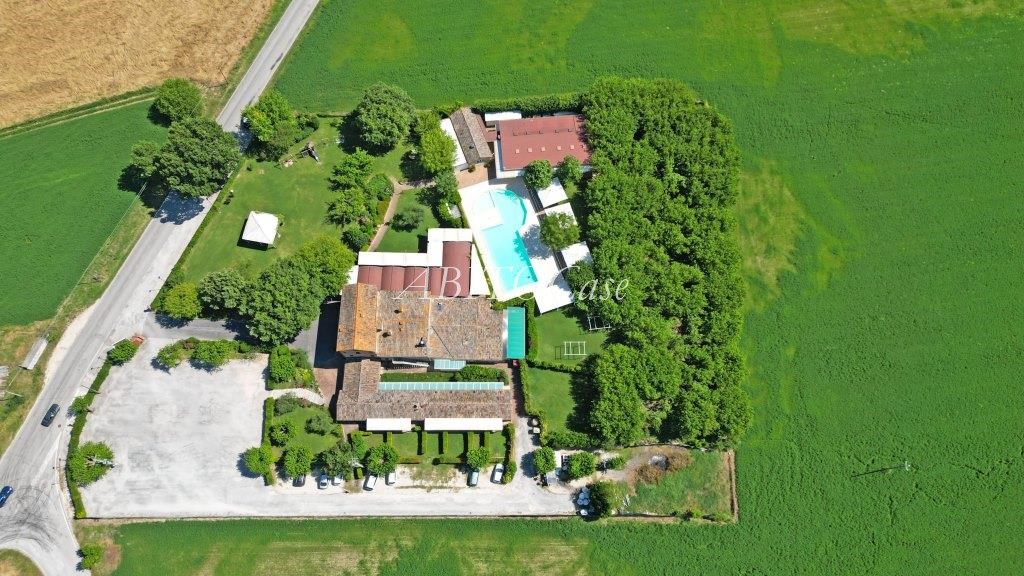 Tenuta dei Gelsi
