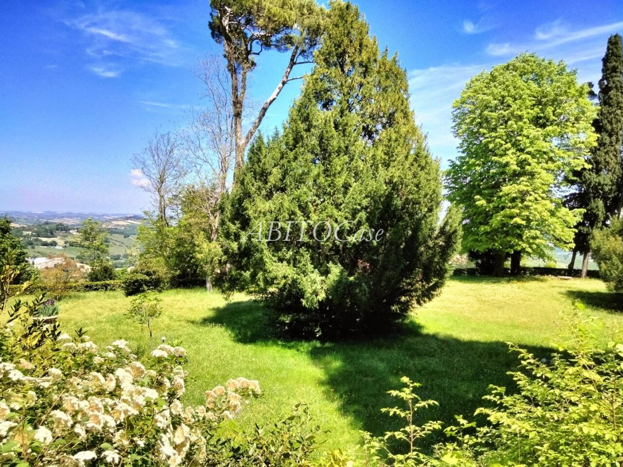 Tenuta Del Cardinale