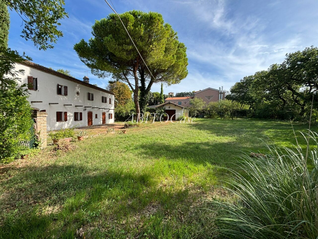 Casa White