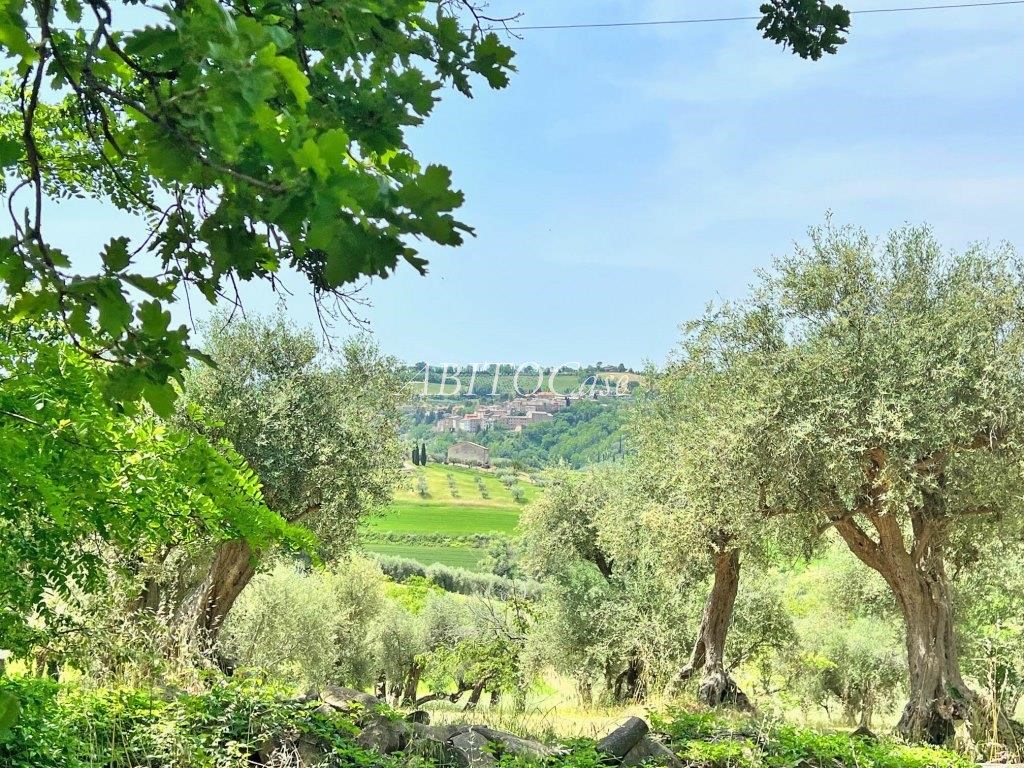 Casale Sguardo