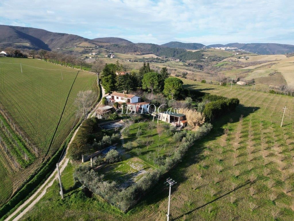 Casa Luce
