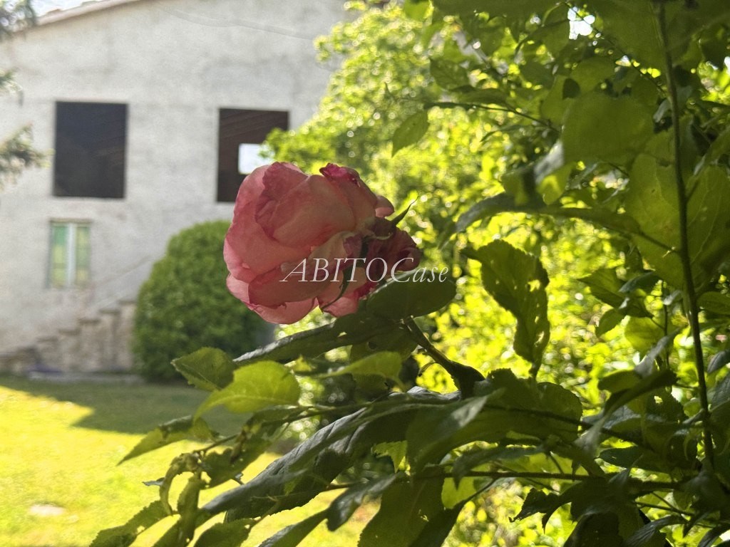 Tenuta della Rocca