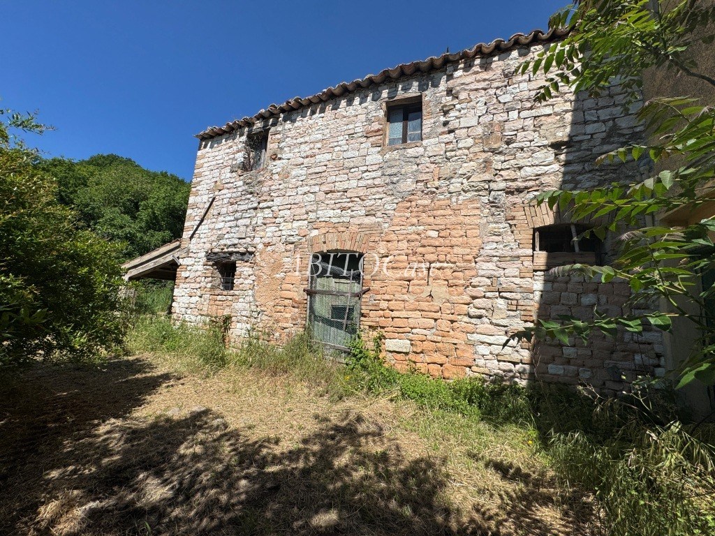 Casale Fonte