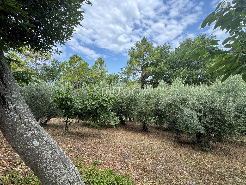 Casa Rondine
