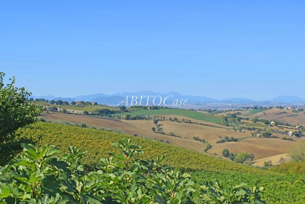 Casale Belvedere