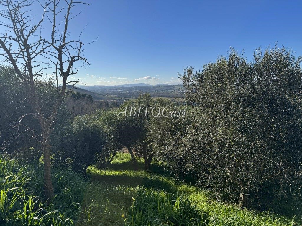 Casale Isidoro
