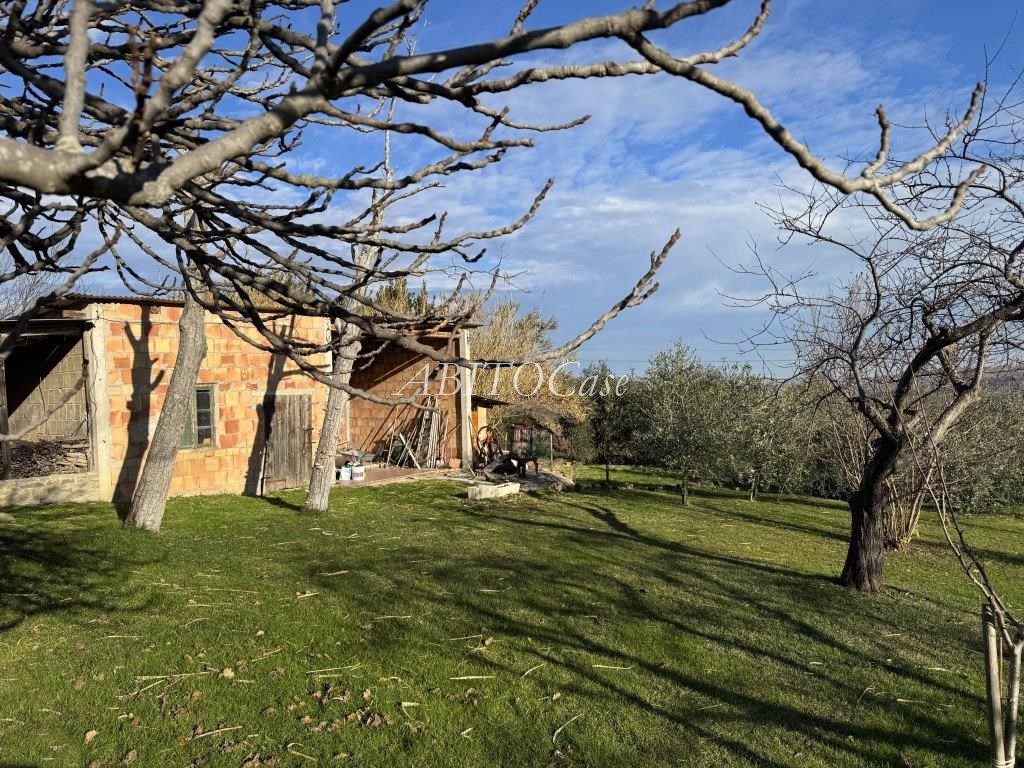 Casa Luce
