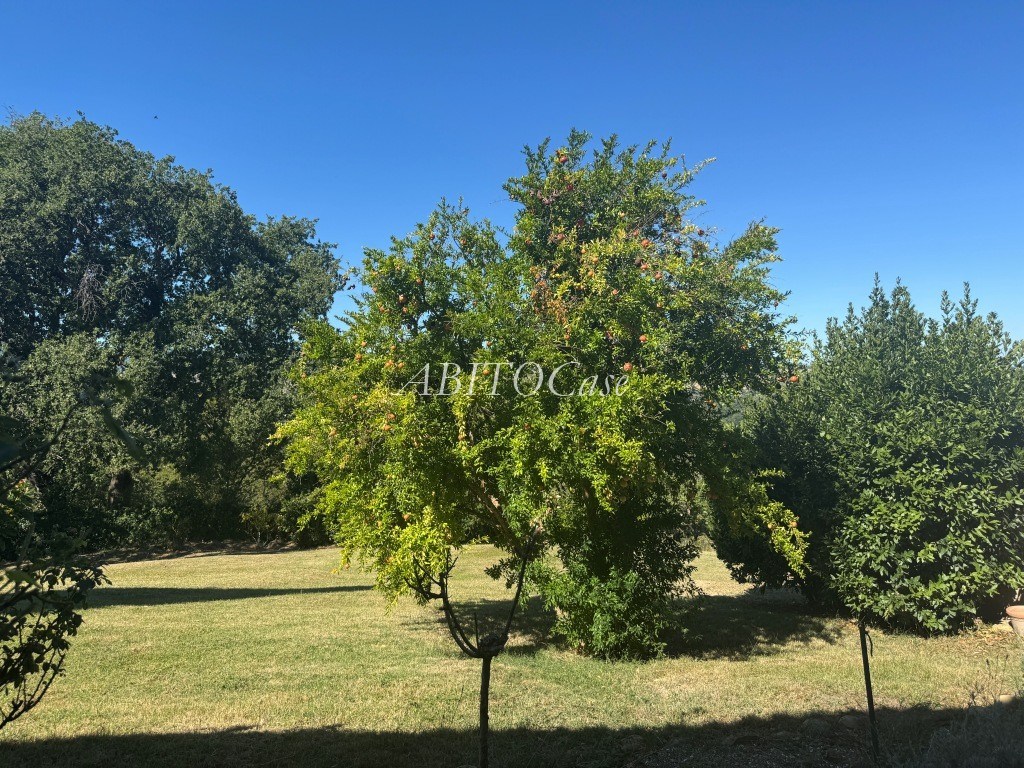 Casale delle Colline