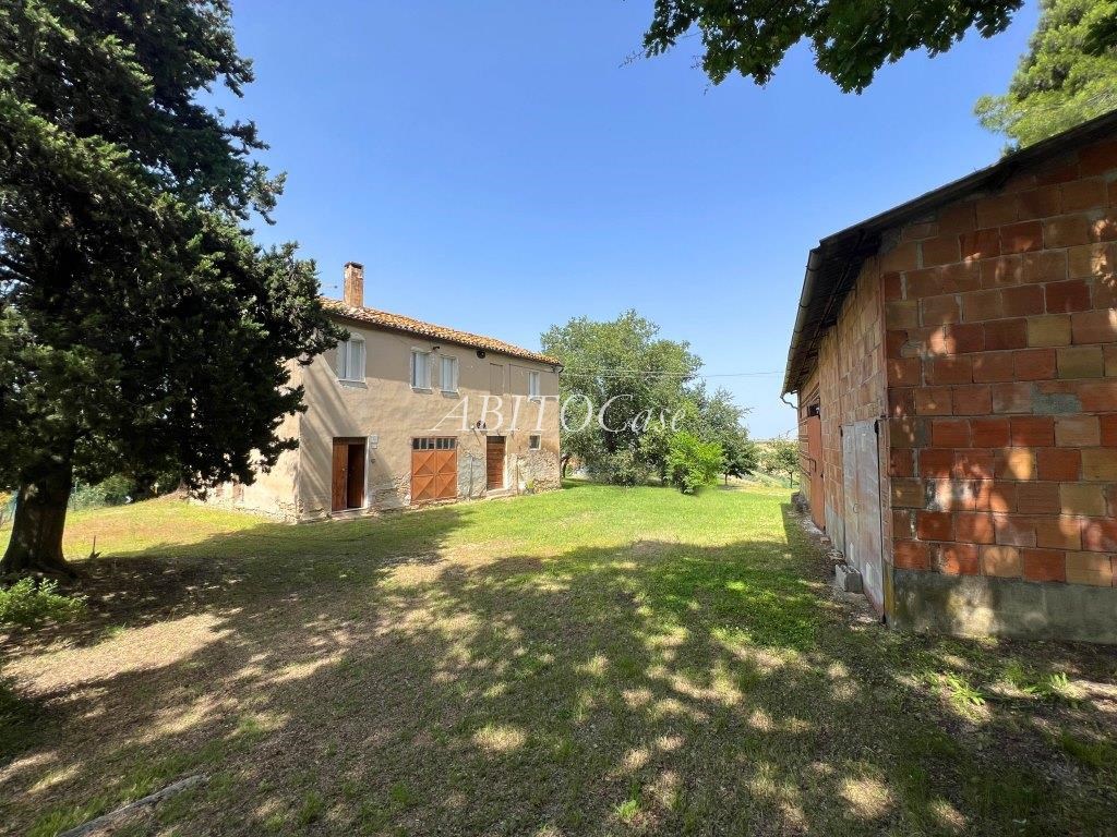 Casale Verdicchio