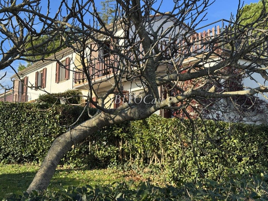 Casa Luce