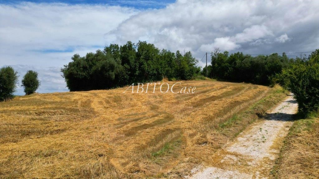Casale Boschetto