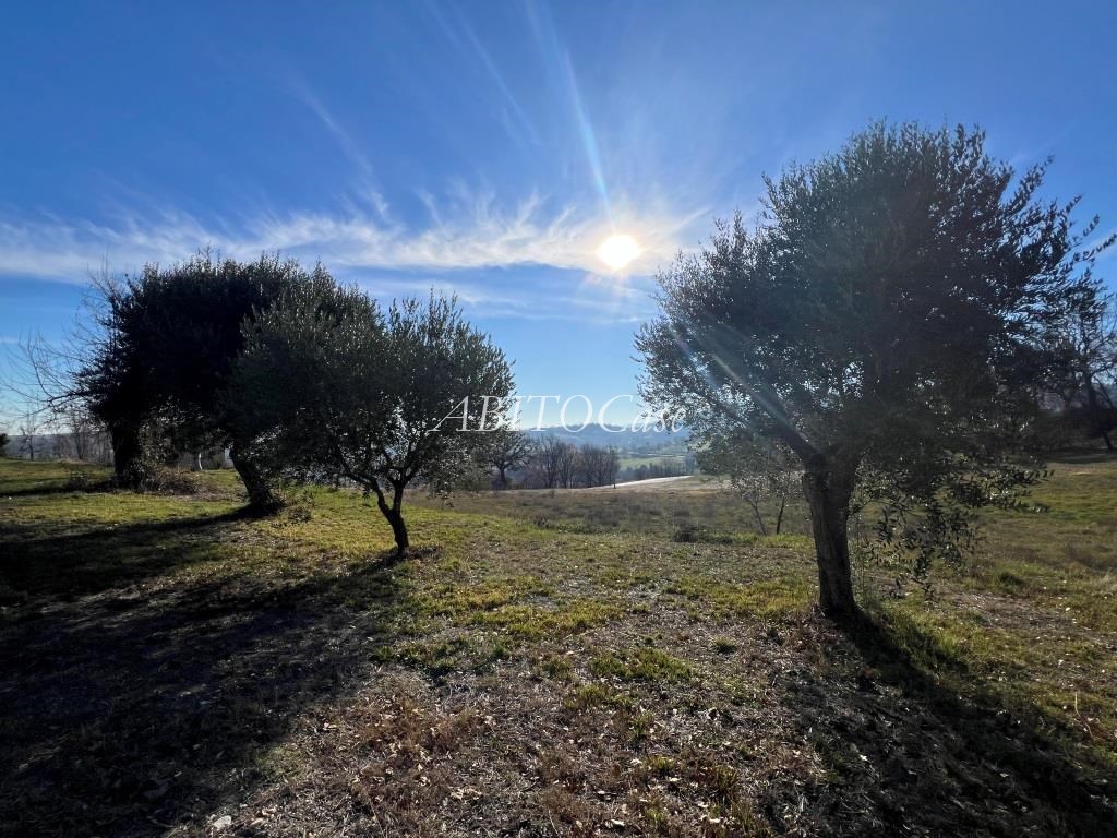 Casale Natura