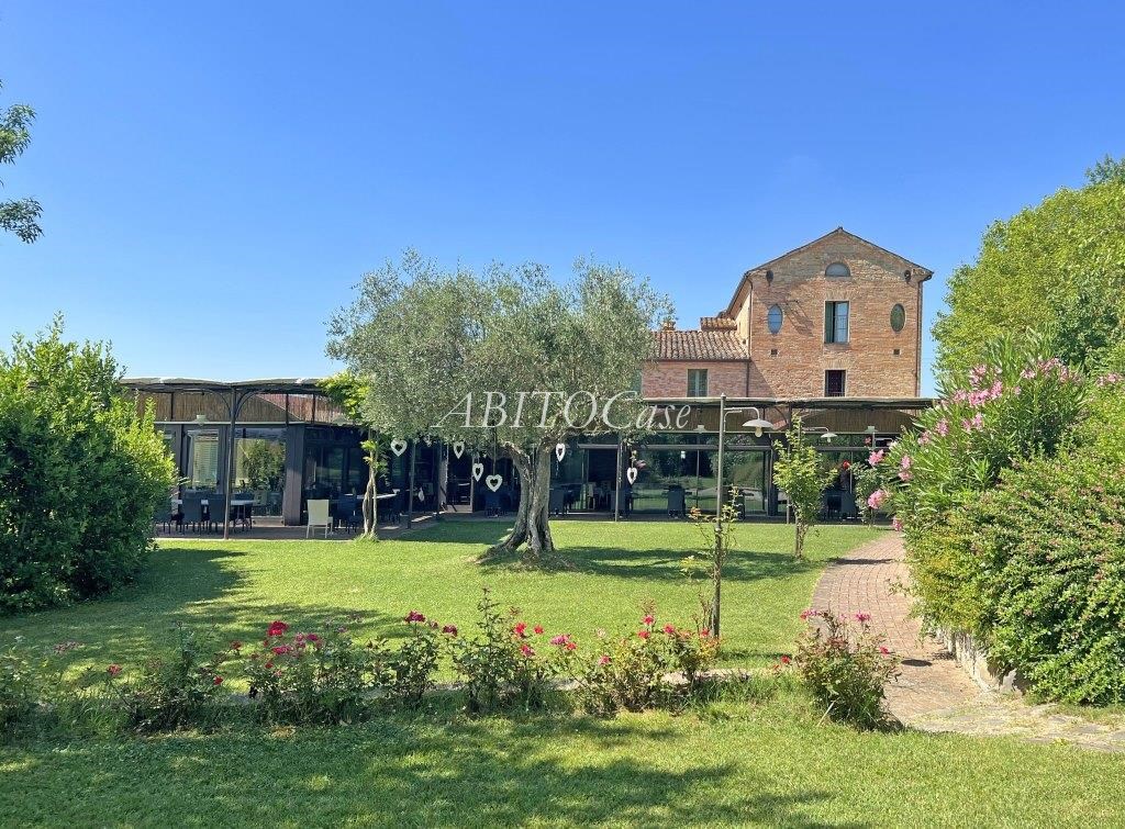 Tenuta dei Gelsi