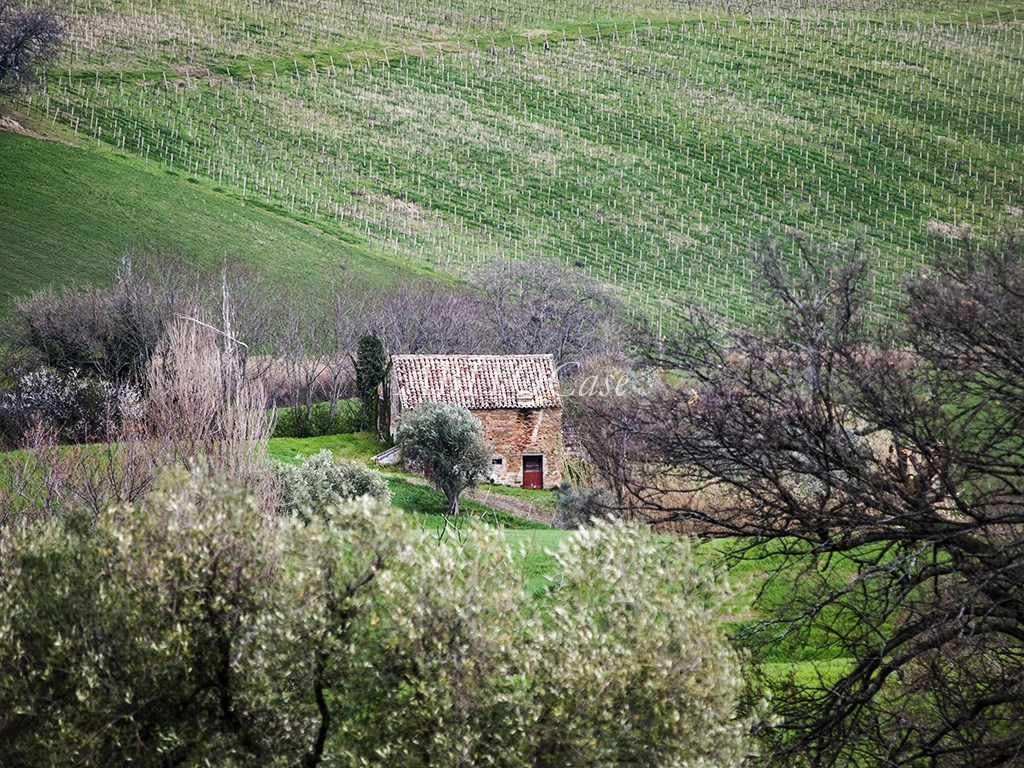 Casale Loretello