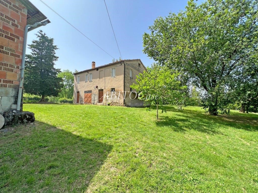 Casale Verdicchio