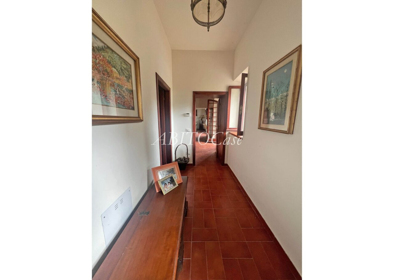 Casa White
